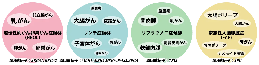 ４つの遺伝性腫瘍病の説明図